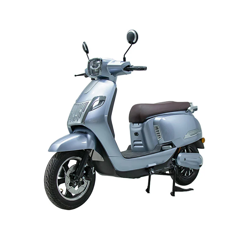 Electric Motorbike Para sa Mga Matanda 10 Inch 800W Motorsiklo