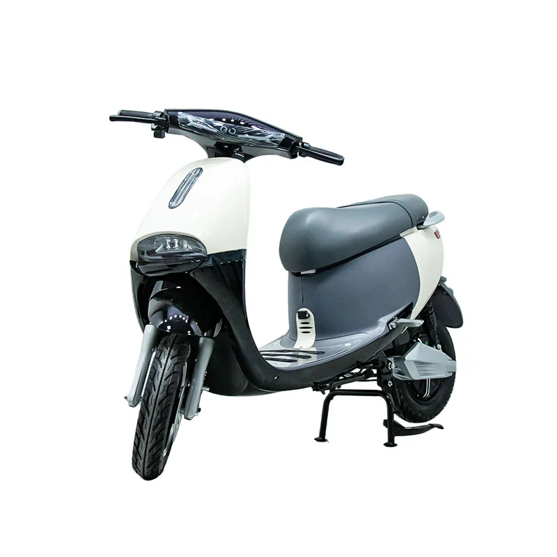 Electric Motorbike na may 10 pulgada na 1000W motorsiklo
