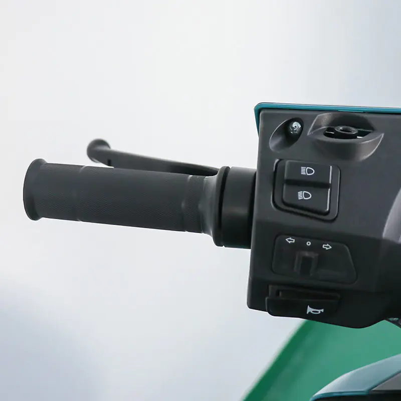 Electric Bicycle General Adult Battery Car